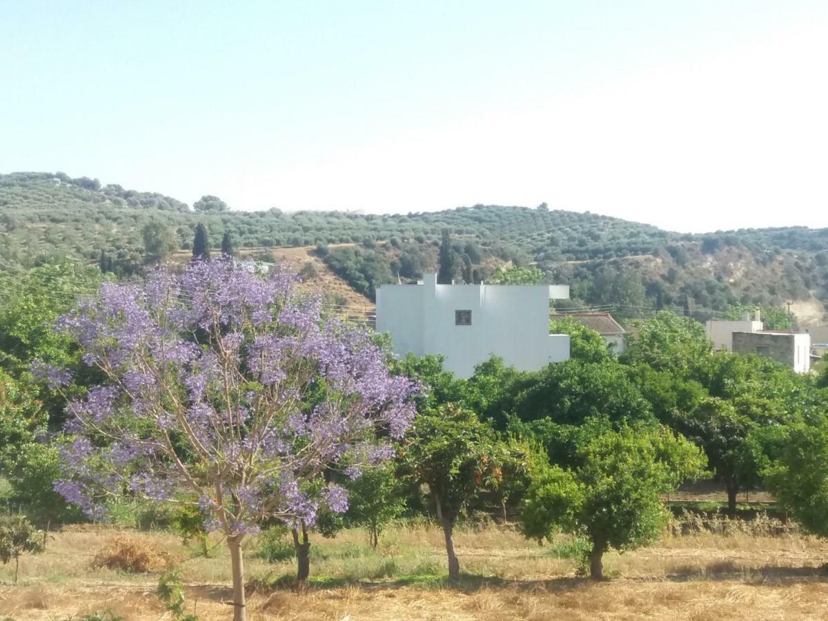 Vrondos Apartments Faneromeni  外观 照片